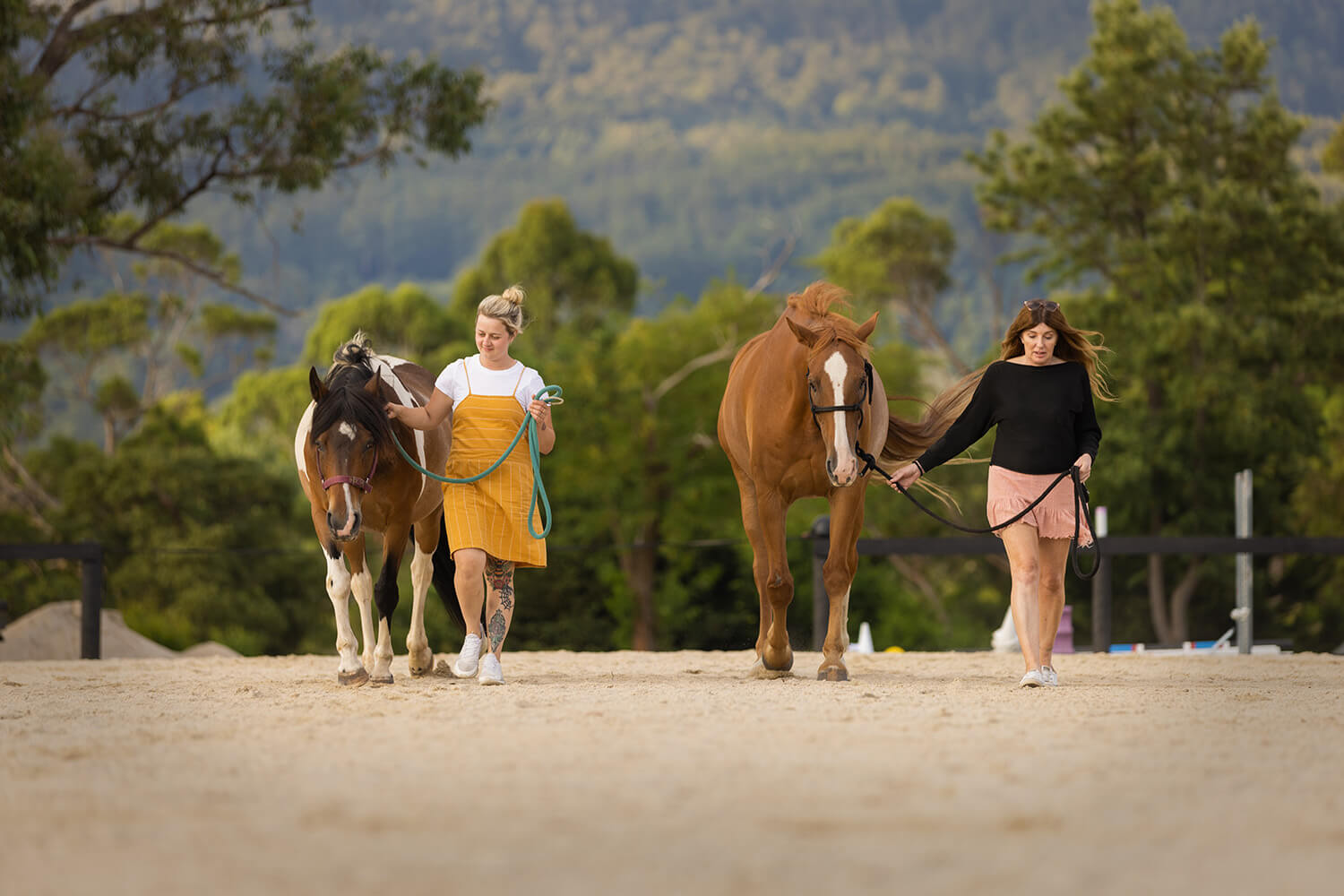 Equine Therapy NDIS School Groups Horses Nature Play Children Equine Assisted Learning Melbourne Equine Therapy NDIS School Groups Horses Nature Play Children Equine Assisted Learning Melbourne