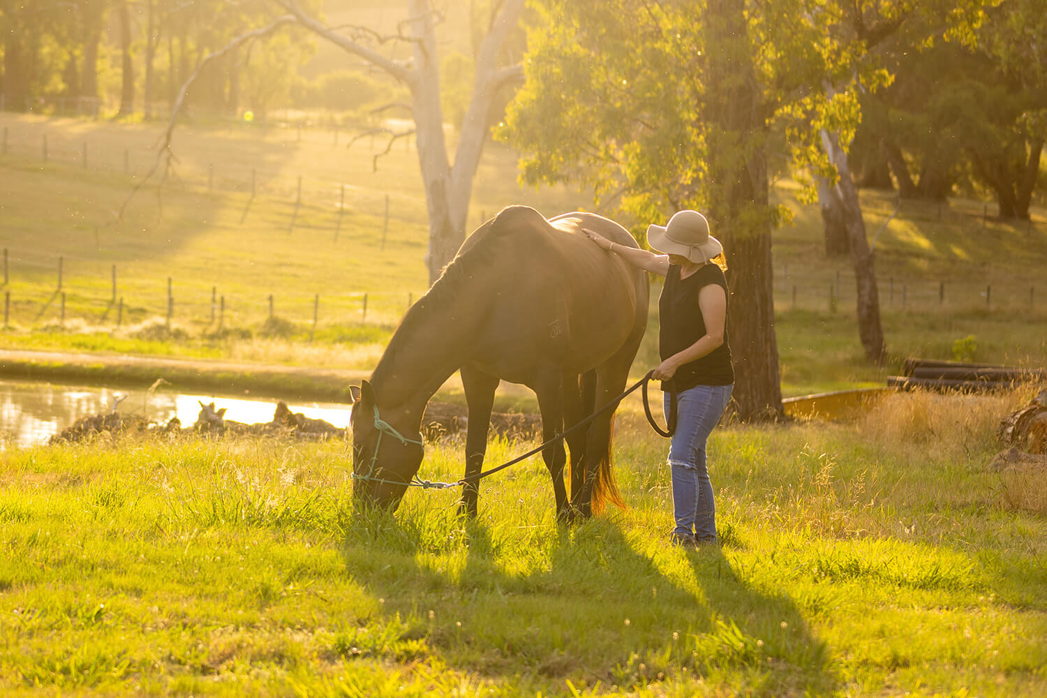 Equine Therapy Assisted Learning - Leading the Way EAL NDIS Yarra Valley