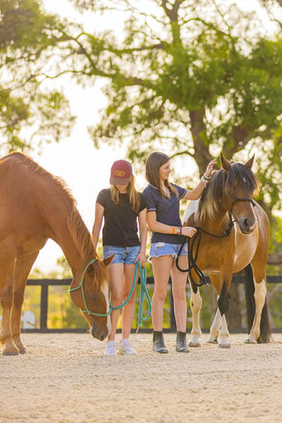 Counselling Horse Riding Therapy Children Groups NDIS