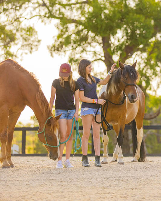 Counselling Yarra Valley Horse Riding Therapy Children Groups